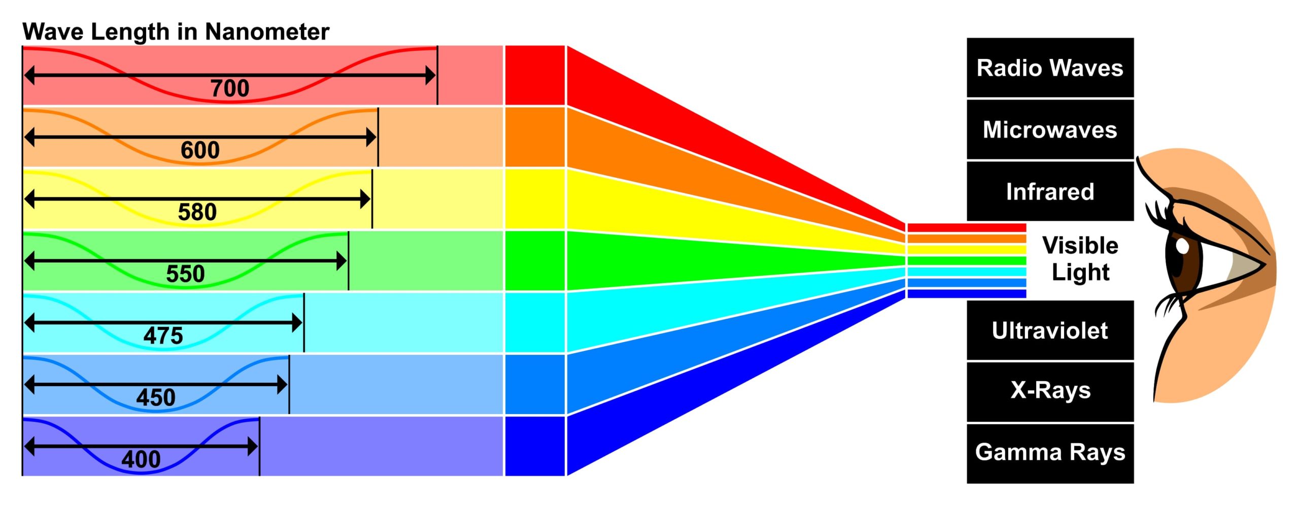 Cours en ligne de luminothérapie et colorthérapie